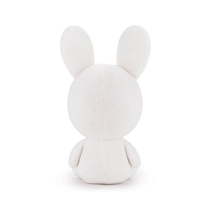 Rabbids Sit 9" Plush (Youtooz)