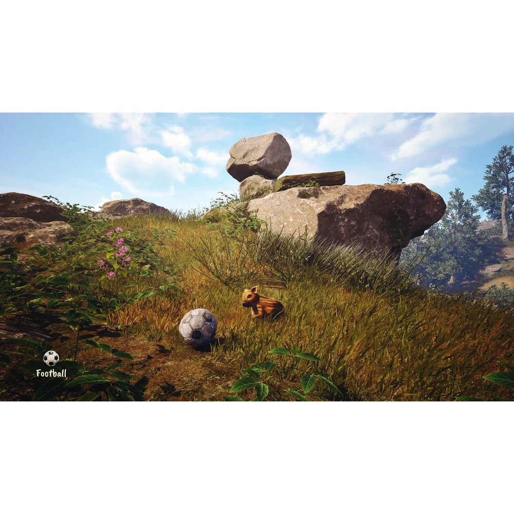 Adorable Adventures (PlayStation 5) [PRE-ORDER]