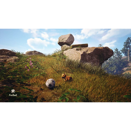 Adorable Adventures (PlayStation 5) [PRE-ORDER]