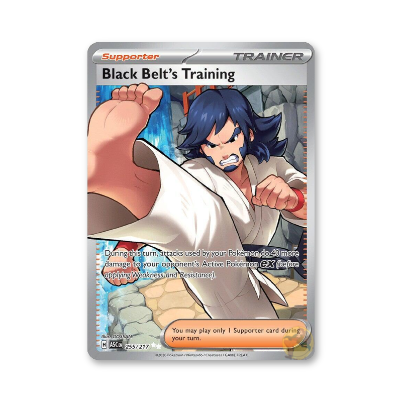 Black Belt's Training - 255/217 (Ascended Heroes)