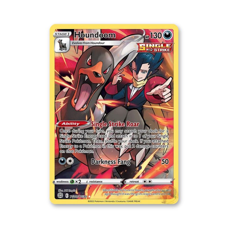 Houndoom - TG10/TG30 (Brilliant Stars Trainer Gallery)