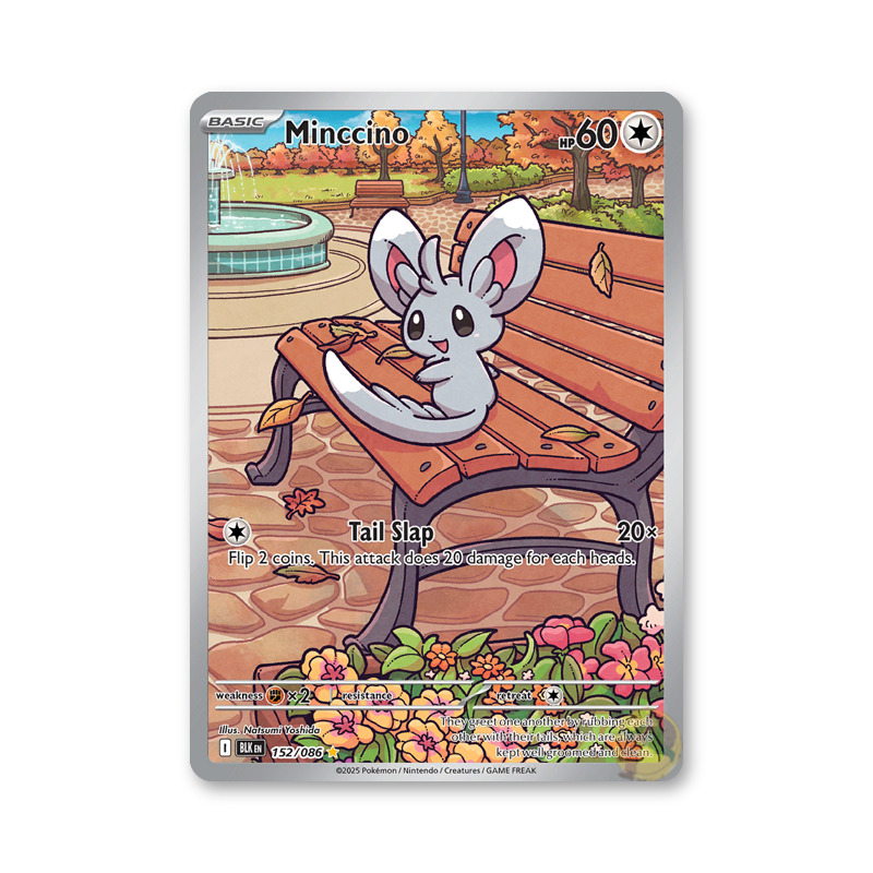 Minccino - 152/086 (Black Bolt)
