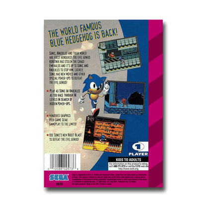 Sonic Blast (Sega Game Gear)