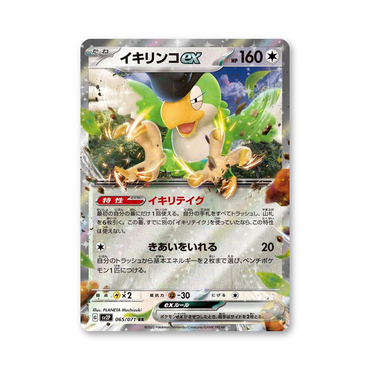 Squawkabilly ex - 065/071 (Snow Hazard) [JPN]