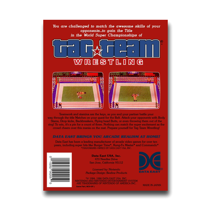 Tag Team Wrestling (Nintendo NES)