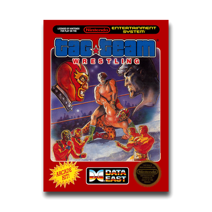 Tag Team Wrestling (Nintendo NES)
