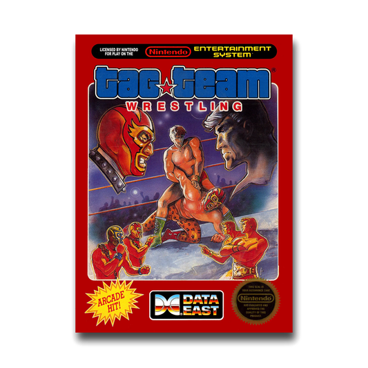 Tag Team Wrestling (Nintendo NES)
