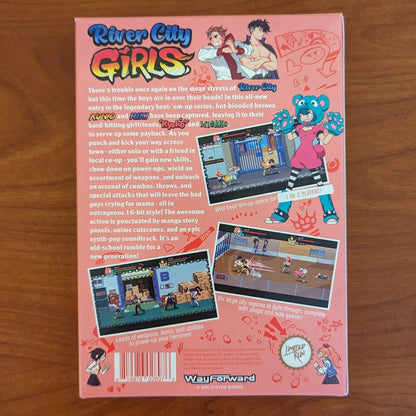 River City Girls Soundtrack PAX NES Box Limited Run - Signed By Directors
